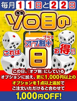 最大1000円OFF!オプション割りがさらにおトク!