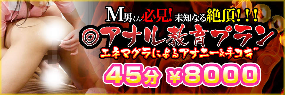 アナル教育プラン