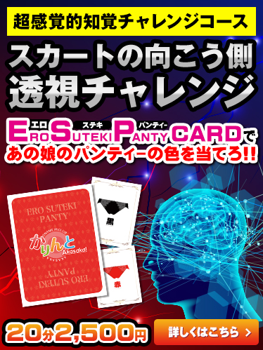 スカートの向こう側透視チャレンジ