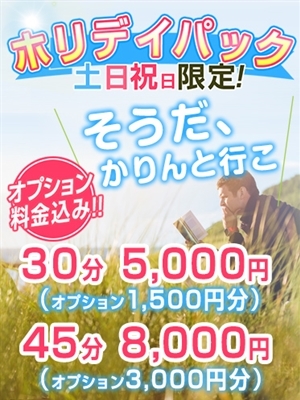 ホリデーパック
