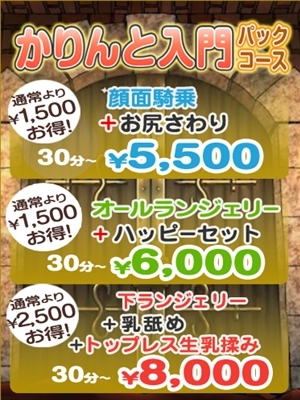 かりんと入門パックコース